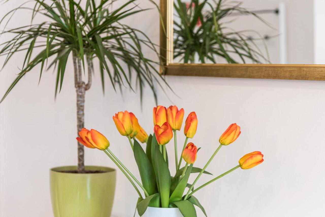 Guestready - The New Made In Porto Appartement Buitenkant foto